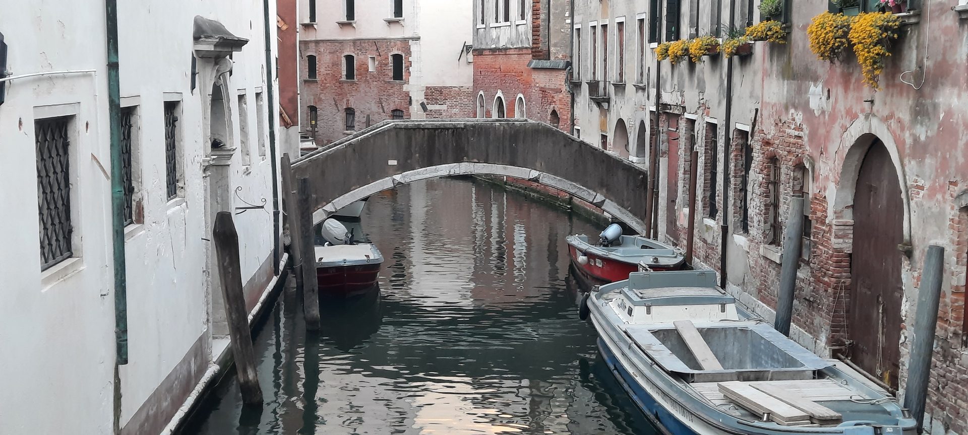 Anatomy Building and Bridge, Venice - 05.jpg